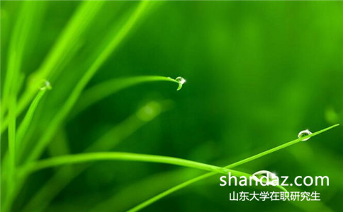 山东大学西方经济学在职研究生怎么样?好考吗