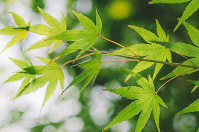 山东大学在职研究生 山东大学在职研究生