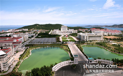 山东大学在职研究生 山东大学在职研究生