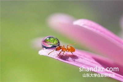 山东大学在职研究生复习辅导期间要注意什么? 山东大学在职研究生复习辅导期间要注意什么?